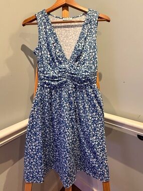 Trary Blue and White Floral Mini Dress